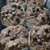 Cooksnap dari Mira untuk resep 55* Muffin Pisang Cokelat / Choco Banana Muffins