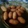 Cooksnap dari Purnama Dini Hari untuk resep Stick Terigu Keju Super Simple