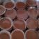 Cooksnap dari Cory Moscana Azhari untuk resep Silky chocolate puding