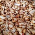 Cooksnap dari XIV_Salju Elvita Br Tarigan_PKM ARANIO untuk resep Kacang Pedas Manis (Kacang Thailand)