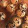 รูป Cooksnap ของ Idsaree Kodchasan เมื่อเขาทำ บลูเบอรี่มัฟฟิน สูตรทำง่าย อร่อยด้วย Blueberry Muffins
