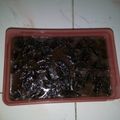 Cooksnap dari icha irsa untuk resep Puding coklat oreo