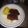 1supergirl's cooksnap of when they made Glazed Pork Chops.