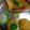Meena Mathur's cooksnap of when they made Idli sambhar.