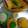 Meena Mathur's cooksnap of when they made Idli sambhar.