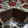 Cooksnap dari Ahmad Betek untuk resep Brownies ny. Liem versi panggng