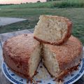 El cooksnap de Alison Lucas cuando hizo Torta de manzana fácil!! 🍎 20 cucharadas.