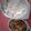 El cooksnap de Guillermo Manzur cuando hizo Pollo al Roquefort.