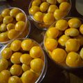 Cooksnap dari Anif atskil untuk resep Nastar klasik