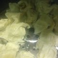 Cooksnap dari Asriyanti Indah Pratiwi untuk resep Tahu aci & Siomay aci ikan salmon lokal