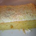 Cooksnap dari nuri untuk resep Cheese Cake Simple dengan SDM