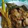 Cooksnap dari milink untuk resep Rendang Jengkol