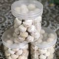Cooksnap dari daisy untuk resep Putri Salju Keju (Tintin Rayner)