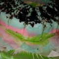Cooksnap dari Ary Fha untuk resep Bolu kukus mekar tanpa soda.