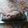 El cooksnap de Elisabeth Hidalgo Ortega cuando hizo Plum cake con pasas, nueces y cerezas.