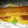 El cooksnap de Mariela Duarte cuando hizo Torta de plátano sin harina.