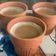 Rakhi sen का कुकस्नैप जब उन्होंने मसाला चाय (Masala Chai recipe in hindi) बनाया था।
