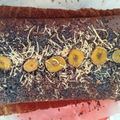 Cooksnap dari intan sagita untuk resep Flourless chocolate cake #Keto (Brownies Keto)