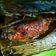 Cooksnap dari Ayu Saraswati E.P untuk resep Pelas Tongkol #khasBanyuwangi