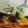 Anamika Banerjee's cooksnap of when they made Green Smoothie With Chia Seeds.