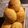 El cooksnap de Jorge Garcia cuando hizo Pan lactal con morrones🍞.