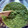 Tattooedcookman's cooksnap of when they made Serrano Verde.