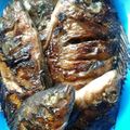 Cooksnap dari Susanti Maris untuk resep Ikan Bakar Teflon. Super gampang, minim bahan😁