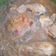 El cooksnap de elioth cuando hizo Pollo encebollado con tomillo y vino blanco. ॐ.