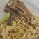 Cooksnap dari Faradilla Fernanda untuk resep NASI BIRYANI magic com