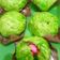 Cooksnap dari Widani untuk resep Bakpao Pandan Isi Kacang Hijau