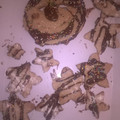 El cooksnap de fabianmodel95 cuando hizo Galletitas Navideñas.
