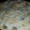 El cooksnap de Yessica Palacios H cuando hizo Pie de Ciruelas (Zwetschgenkuchen mit Streusel).