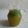 Cooksnap dari Devalesha Kitchen untuk resep Mojito Virgin