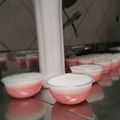 Cooksnap dari dapoergendhis untuk resep Puding Delima