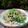 阿文 的 莧菜炒香菇 cooksnap