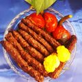 کوک اسنپ ŠÖhä بعد از امتحان کردن چلوکباب کوبیده غذای ویژه سیزده بدر.