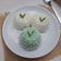 Cooksnap dari Mama Upay untuk resep Haupia
