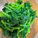 Viki Tien 的 蒜炒番杏(甜菠菜) cooksnap
