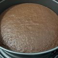 Cooksnap dari Nuha Ulyn untuk resep Cocoa sponge cake