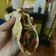 El cooksnap de La nena del placard cuando hizo Relleno para tacos.