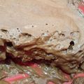 Cooksnap de Dalila Matos quando cozinhou Mousse de chocolate.