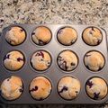 Mary Edgin Dew's cooksnap of when they made Blueberry Muffins.
