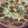 El cooksnap de Marieta cuando hizo Quiche de puerros y bacon.