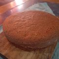 El cooksnap de Magali Avendaño cuando hizo Bizcochuelo esponjoso.