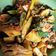 Cooksnap dari githasrinitagaib untuk resep Ayam Rica-Rica Khas Manado