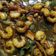 Cooksnap dari Momon untuk resep Udang Saos Mentega Ala Bunda
