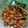 Cooksnap dari alzaira deva untuk resep Sambal Goreng Tahu Tempe Udang dan Bakso