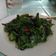 Cooksnap dari Ummu Uwais untuk resep Tumis daun katuk