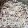 El cooksnap de Nano cuando hizo Kraut pirok.