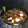 El cooksnap de cladam cuando hizo Pollo al disco.